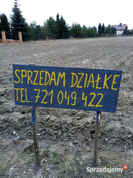 TANIO DZIAŁKA BUDOWLANA 71arów, Bezpośrednio
