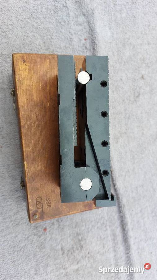 Sinuśnicastolik wielkopolskie Ostrów Wielkopolski