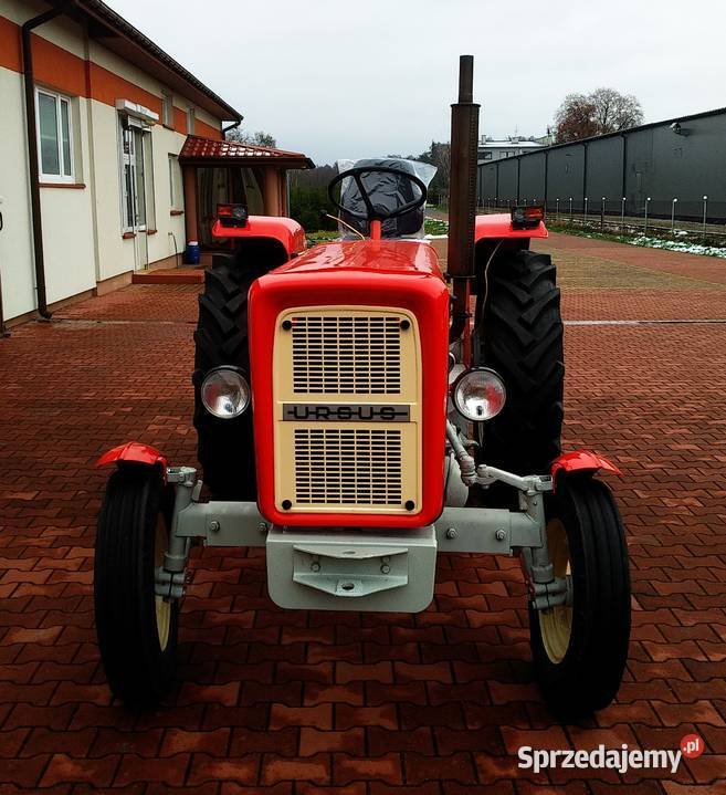 Ciągnik Ursus C360 1985 Silnik Ursus 4 cylindry Rawa Mazowiecka