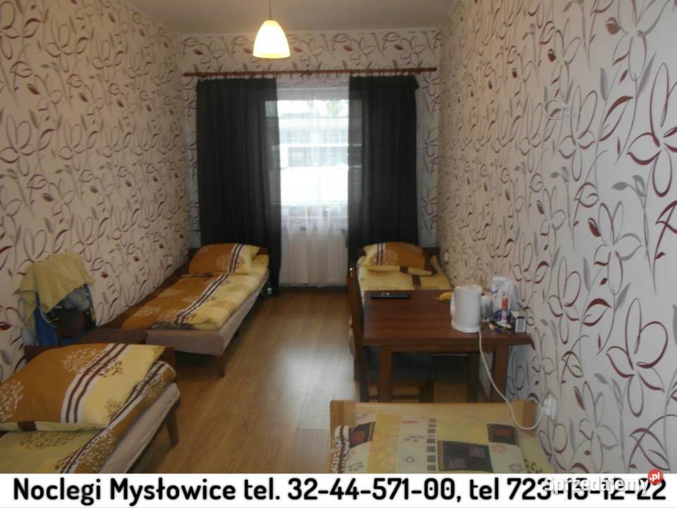Wynajmę pokój Sosnowiec 1000 miesiąc WIELKA