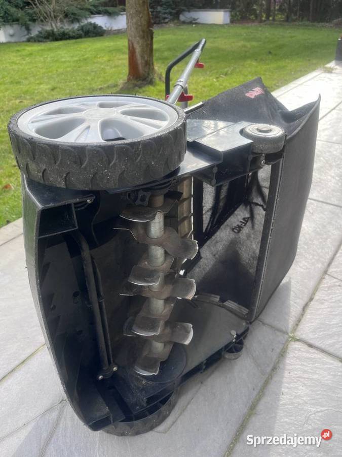 Wertykulator Chrząstawa Wielka