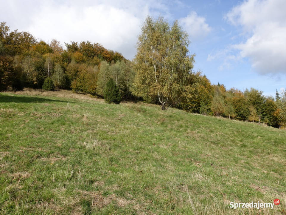 Brenna 253 ha działka inwestycyjna wyciągu Kraków sprzedam