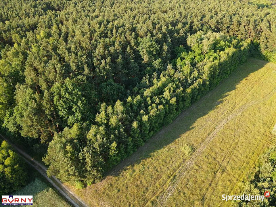 Sprzedam działka Bąkowa Góra 3327m2 sprzedam