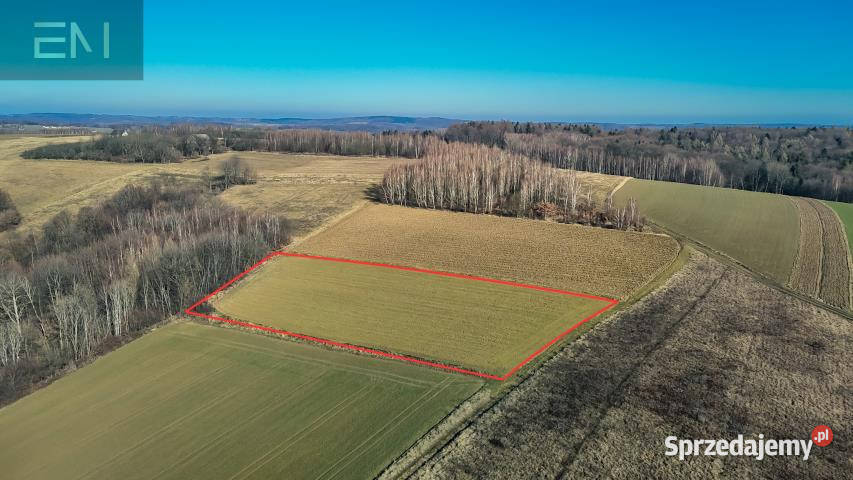 Działka Niewodna 5600m2