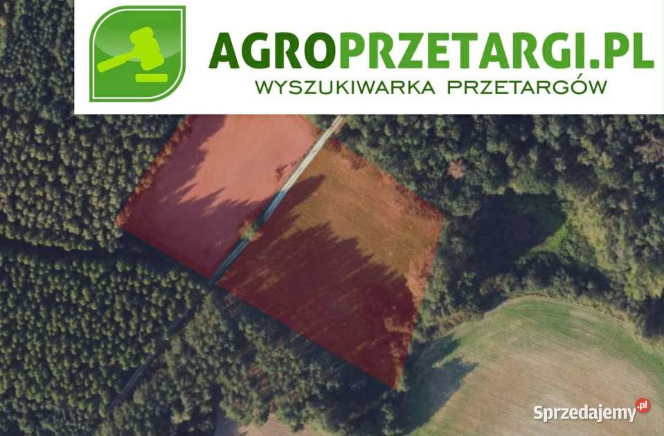 Dzierżawa 221 ha gruntu rolnego kujawsko-pomorskie Żnin