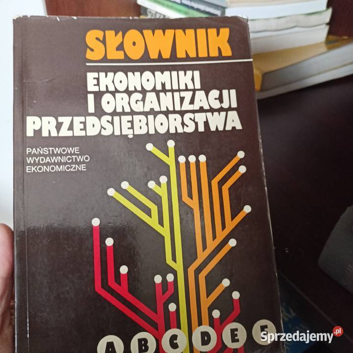 Słownik ekonomiki i organizacji przedsiębiorstwa sprzedam