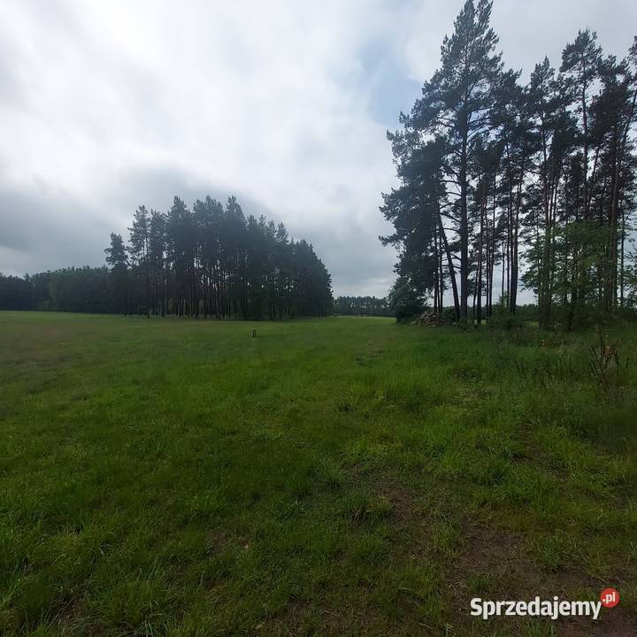 Działka siedliskowa Huta