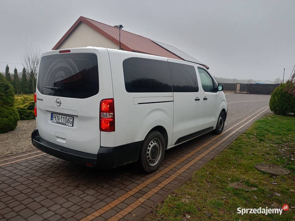Opel Vivaro mały przebie serwisowany w ASO wielkopolskie Głodno