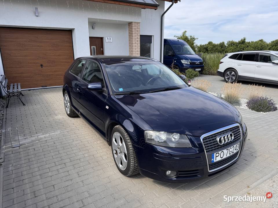 Audi A3 8P 16 benzyna 2005 Dopiewiec