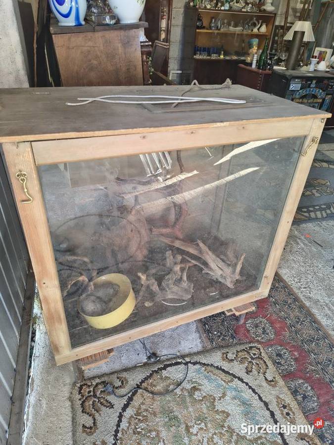 Terrarium plus wyposażenie łódzkie Chorzew sprzedam