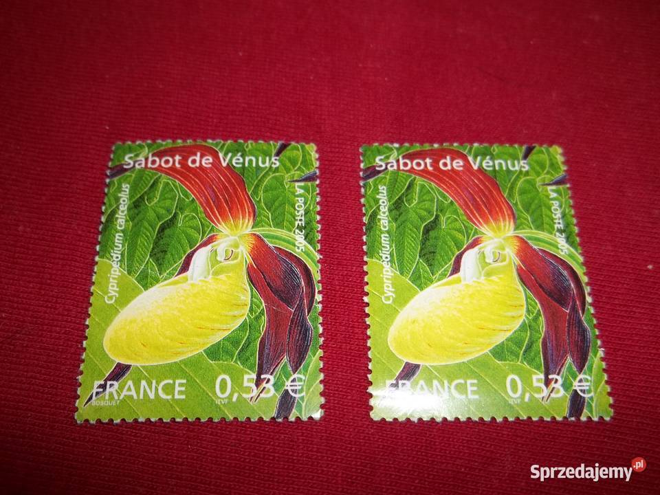 Znaczek pocztowy Koń Polski 2a znaczki pocztowe Łódź