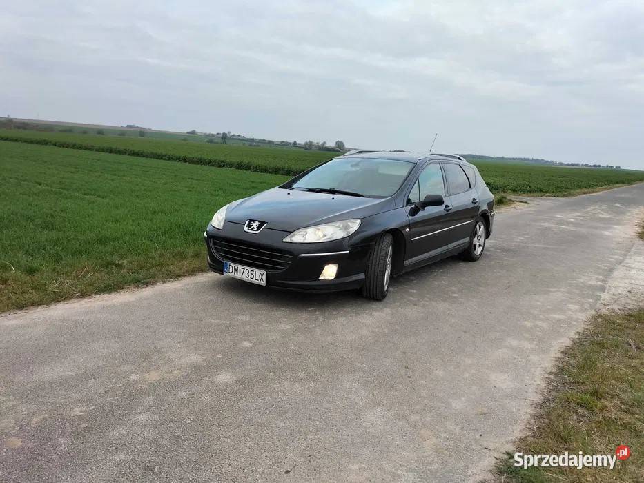 Peugeot 407 20 hdi skórynavipanorama mogę