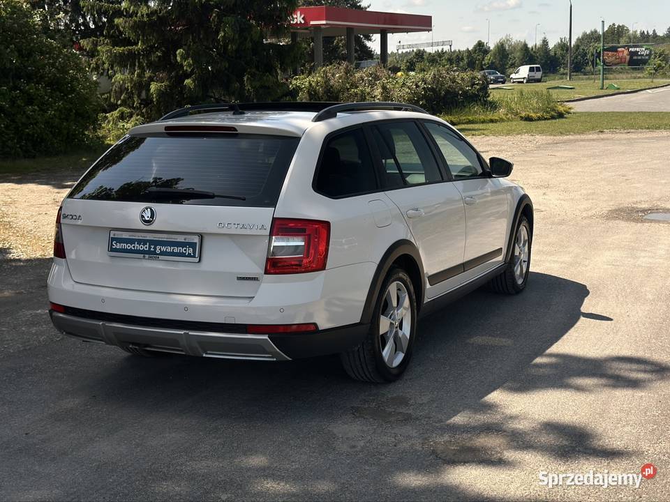 Raty 20 TDI 170 Scout Dsg Panorama Alcantara 160 wspomaganie kierownicy wielkopolskie Masłowo