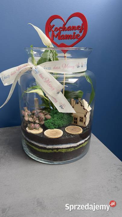 Las w szkle GOTOWA KOMPOZYCJA PREZENT Z Oborniki Śląskie