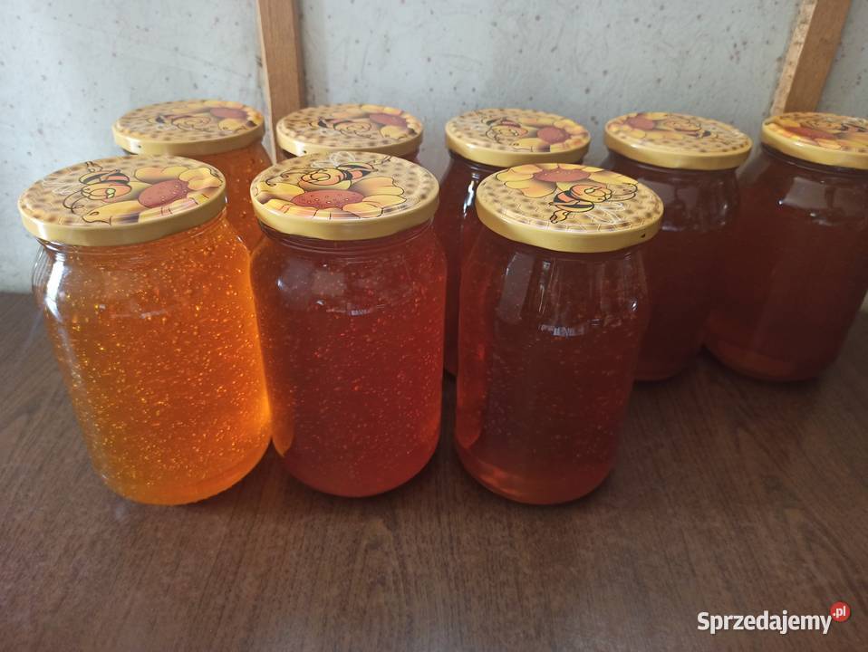 Miód kwiatowy sprzedam