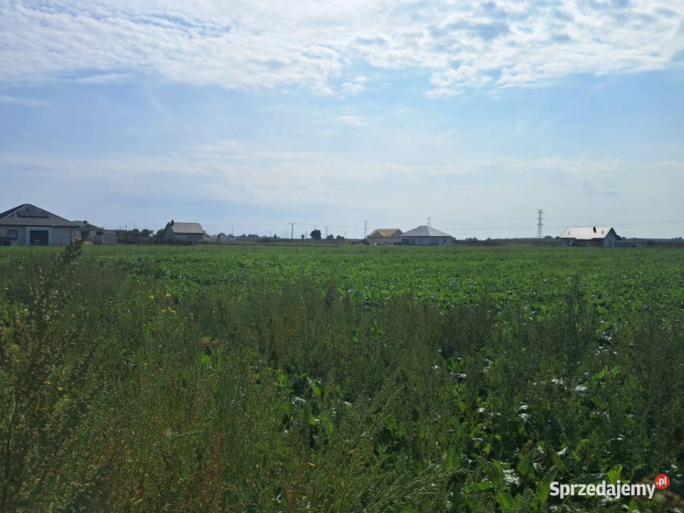 Działka budowalna 16a Gm Puchaczów Turowola utwardzona Turowola-Kolonia sprzedam