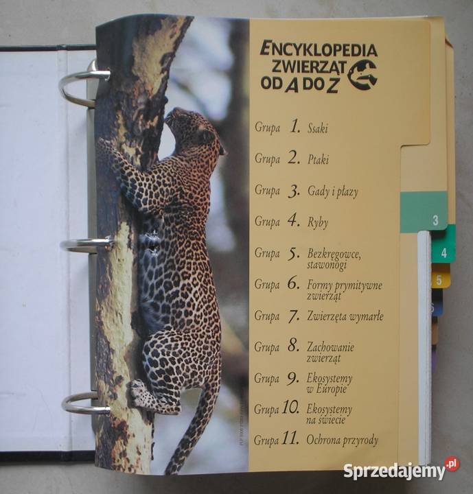 Encyklopedia zwierząt A do Z Kompendium 2 twarda Kraków