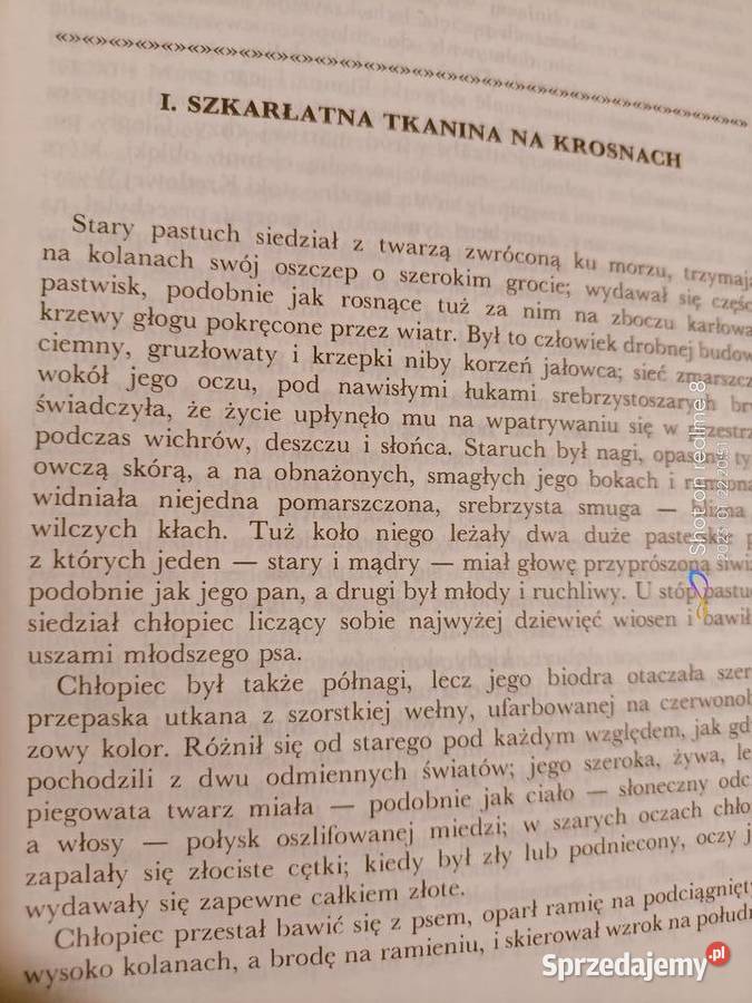 Szkarłat wojownika książki Warszawa księgarnia literatura piękna - proza polska