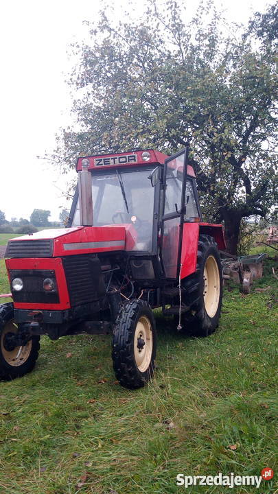 zetor 8011 Nowy Stręczyn - Sprzedajemy.pl