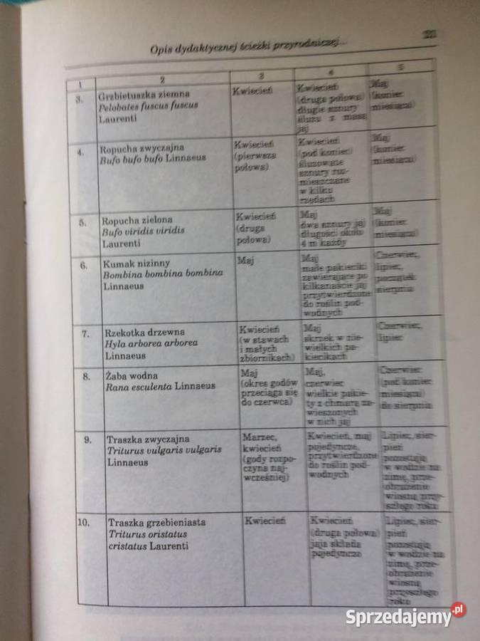 3481 Ścieżka Przyrodnicza W Lasku Arkońskim Antykwariat Szczecin