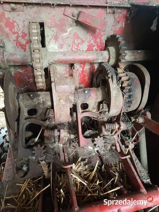 Sprzedam prase kostkującą nieuszkodzony Miedźna