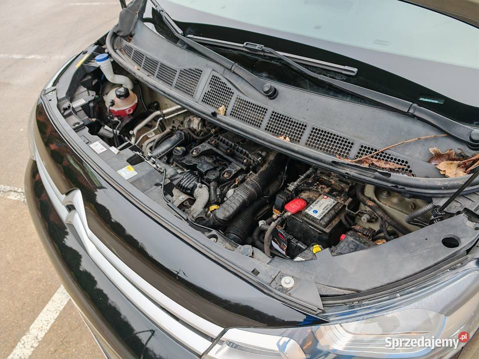 Citroen Jumpy 16 HDi 116 Bezwypadkowy 9 osób śląskie Grodziec sprzedam