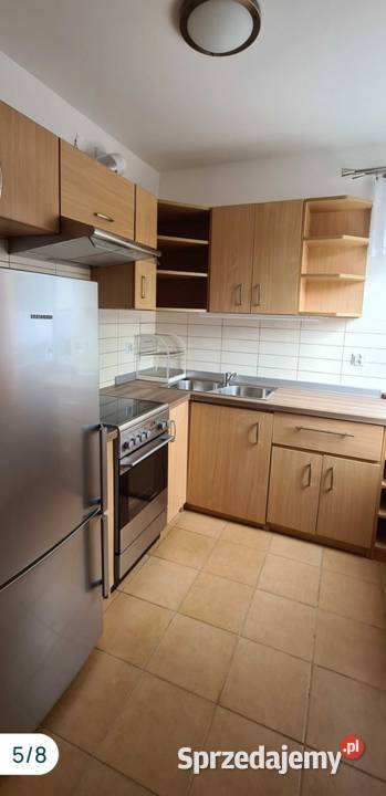 Mieszkanie do wynajęcia piwnica Tychy