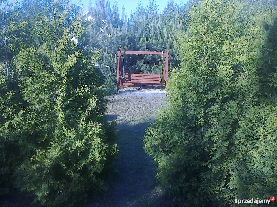 Sprzedam działkę rekreacyjną 76zł/m2 Wincentowo