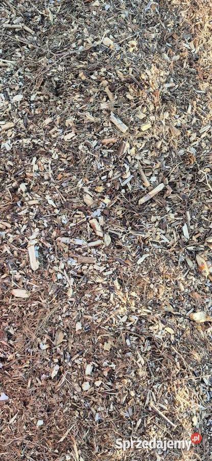 Zrębki mieszane biomasa łódzkie Kurnędz