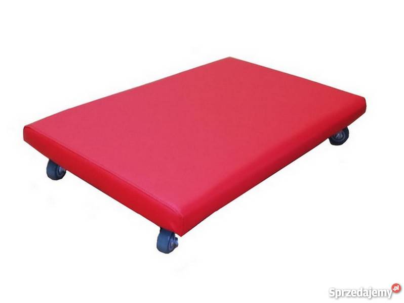 Deskorolka terapeutyczna integracja sensoryczna śląskie Piekary Śląskie