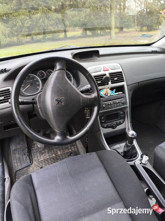 peugeot 307 sw 20 benzlpg 138KM wielkopolskie