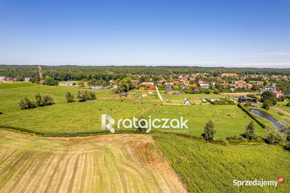 Sprzedaż gruntu 23900m Stegna