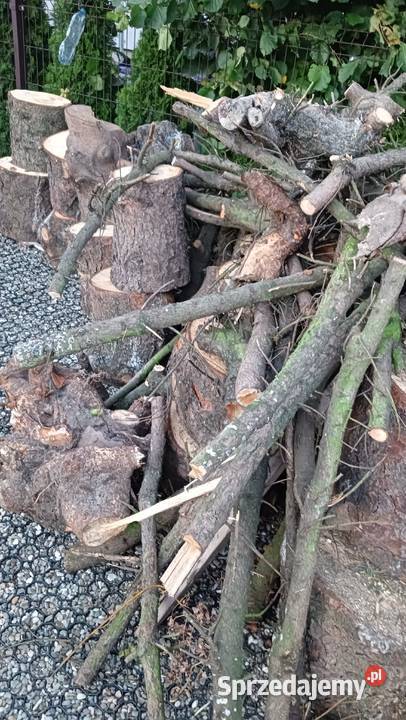 drewno świerkowe na opał ognisko pniaki grube Opał Niepołomice