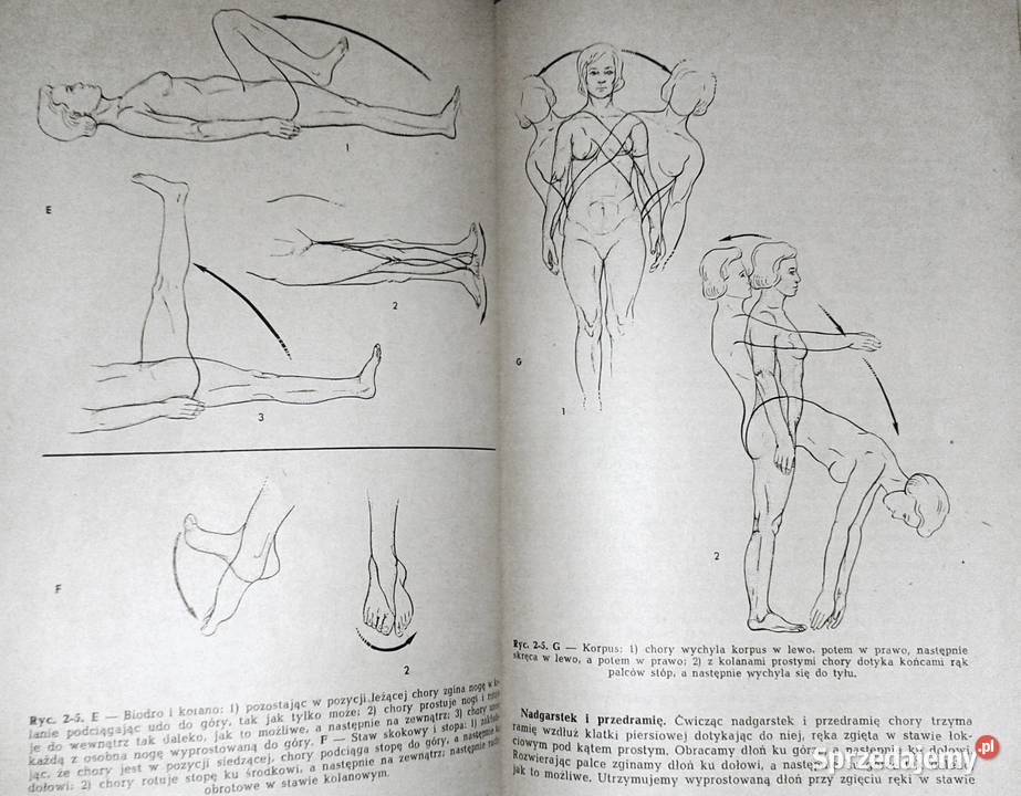 Technika zabiegów pielęgniarskich Norma Dison Chełm