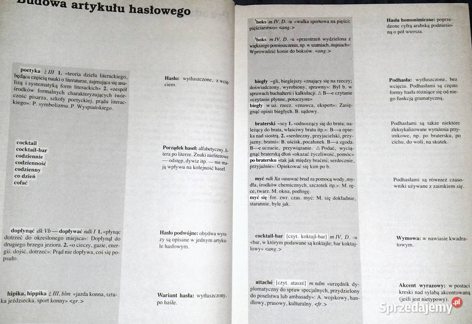 Mały słownik języka polskiego Red Elżbieta Sobol Chełm