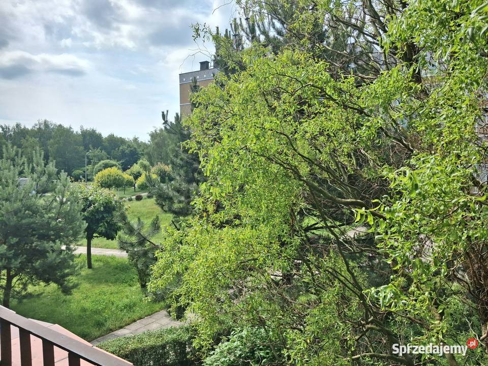 Do wynajęcia mieszkanie Rybnik Boguszowice 30.73m2 sprzedam