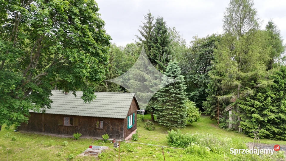 piękne ranczo z łąką i lasem pod HoryńcemZdrojem polna Grunty i działki podkarpackie Dziewięcierz