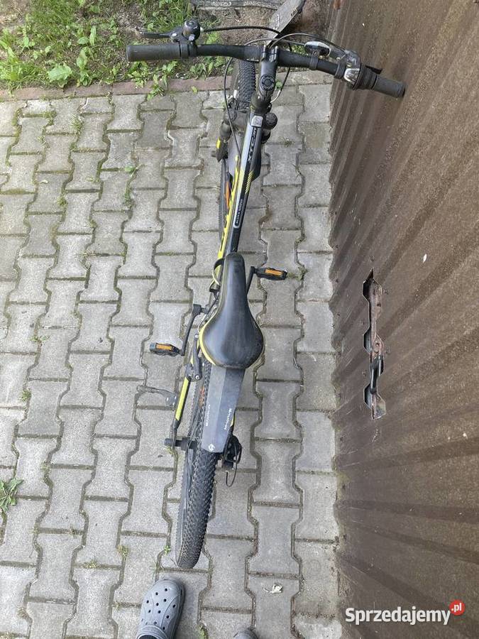 Rower 24 Giant XTC Jedlińsk