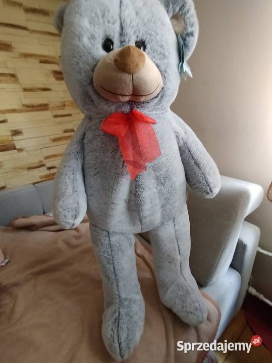 Sprzedam misia pluszowego Myszków
