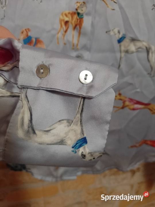 34XS ZARA Ekskluzywna koszula bluzka w psy z Kraków sprzedam