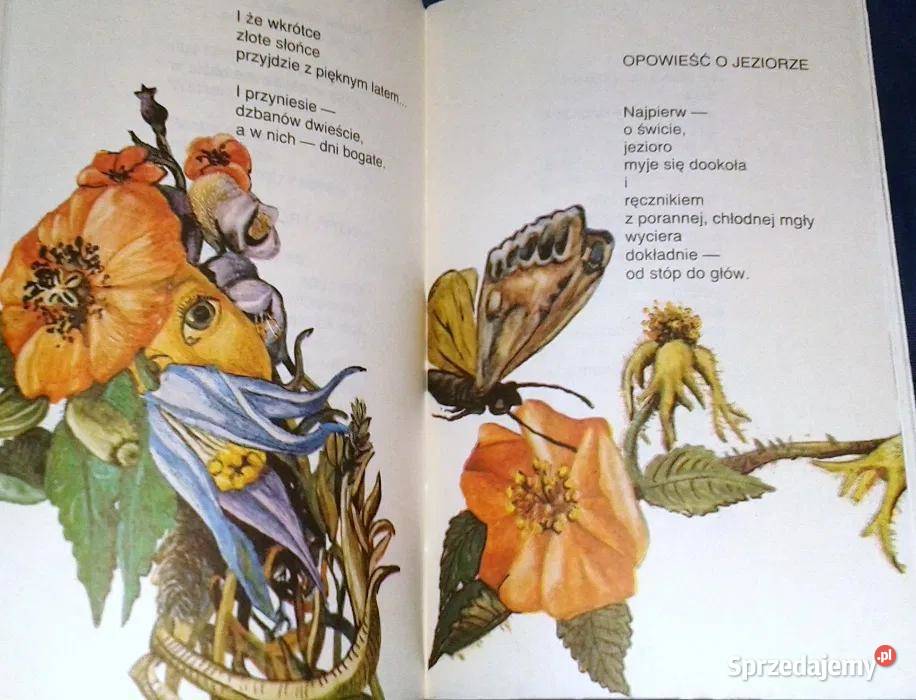 Skąd leci motyl Władysław Grzeszczyk lubelskie Chełm