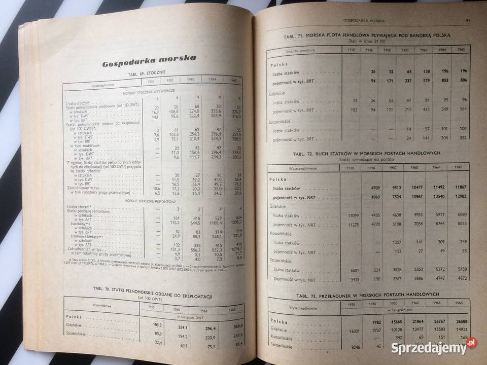 3594 Ziemie Zachodnie I Północne W Liczbach Szczecin sprzedam