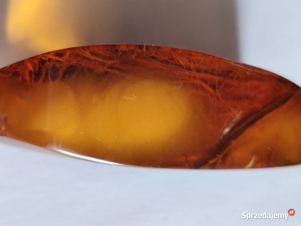 Bursztyn Inkluzja Roślinna podlaskie Białystok