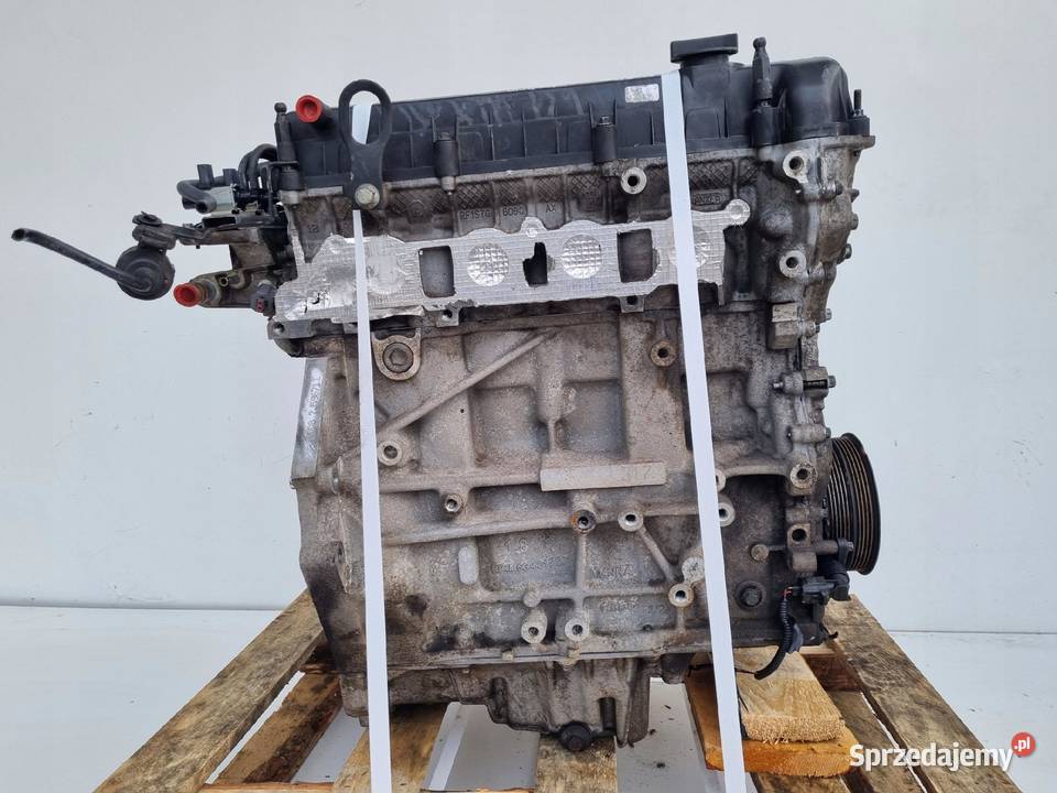 SILNIK KOMPLET Ford Focus II MK2 18 16V 125 Janów