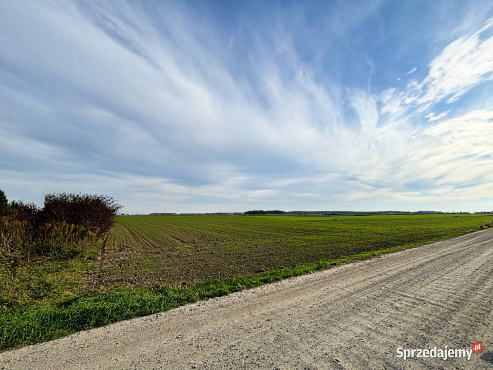 sprzedaży działki 2980m Czołowo
