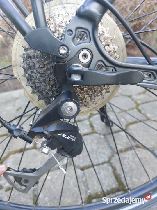 Pegasus Solero E9 rama M Olsztyn