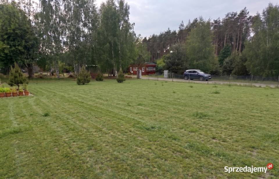 Działka ROD BudyStrzyże Mszczonów 500m Do Grunty i działki sprzedam