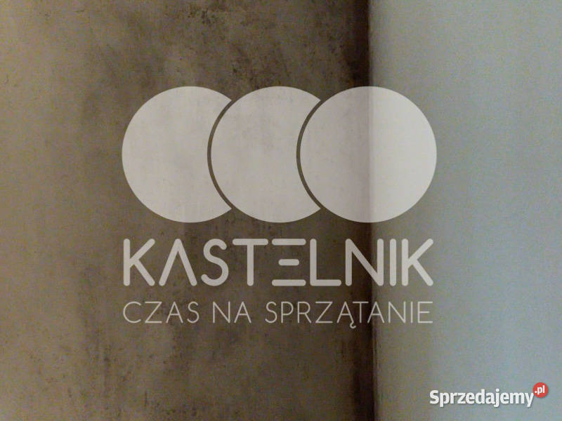 Odgrzybianie ścian Sobótka Kastelnik Usuwanie Osuszanie i odgrzybianie