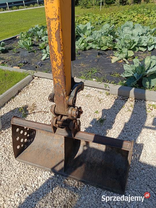 Minikoparka JCB 8014 Zbludowice