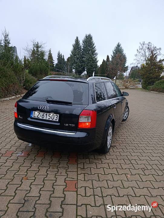 Audi a4 b6 Werbkowice